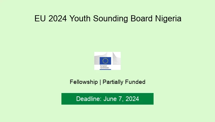 EU 2024 Youth Sounding Board Nigeria