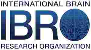 International Brain Research Organization (IBRO)