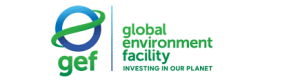 Global Environment Facility (GEF)