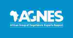 African Group of Negotiators Experts Support (AGNES)
