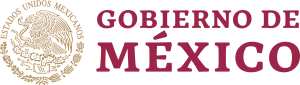 Government of Mexico