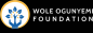 Wole Ogunyemi Foundation