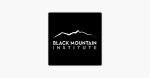 Black Mountain Institute(BMI)