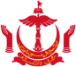 Government of Brunei Darussalam