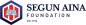 Segun Aina Foundation