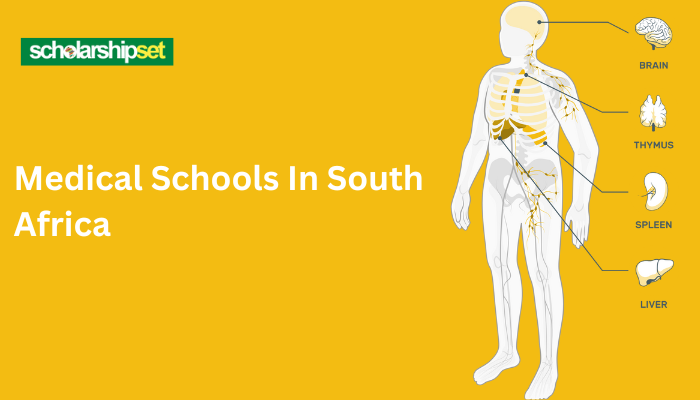 Medical Schools In South Africa