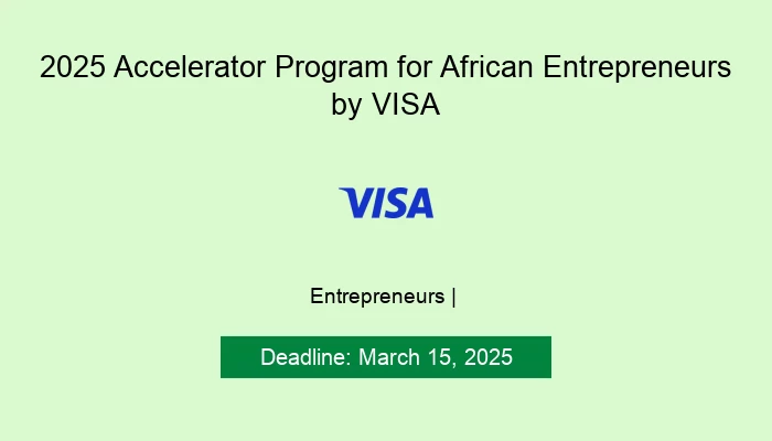2025 Accelerator Program for African Entrepreneurs by VISA