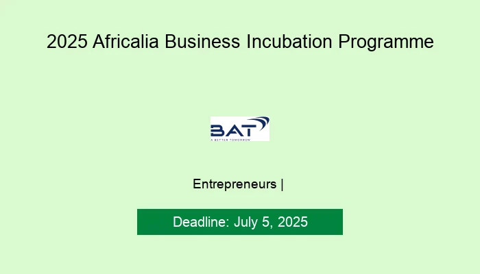 2025 Africalia Business Incubation Programme