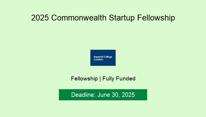 2025 Commonwealth Startup Fellowship