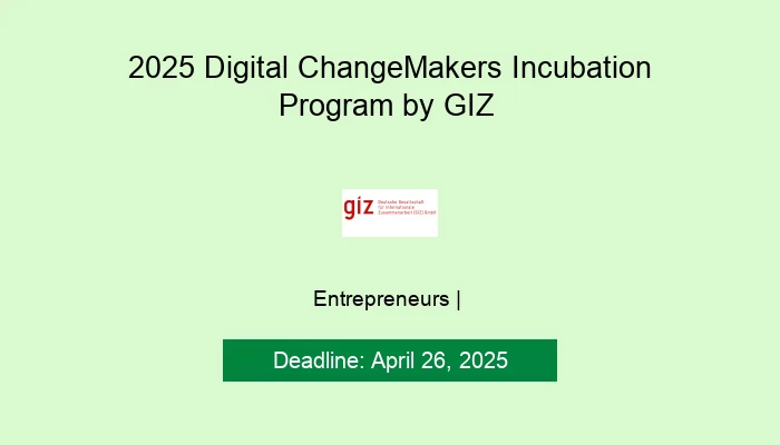 2025 Digital ChangeMakers Incubation Program by GIZ