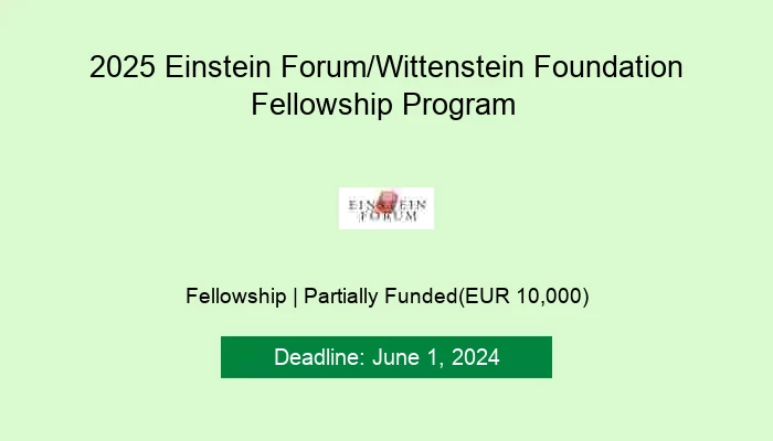 2025 Einstein Forum/Wittenstein Foundation Fellowship Program