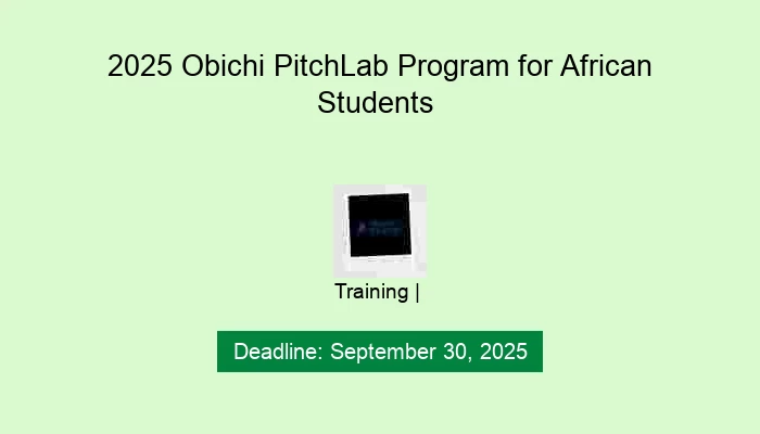 2025 Obichi PitchLab Program for African Students