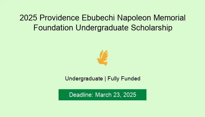 2025 Providence Ebubechi Napoleon Memorial Foundation Undergraduate Scholarship