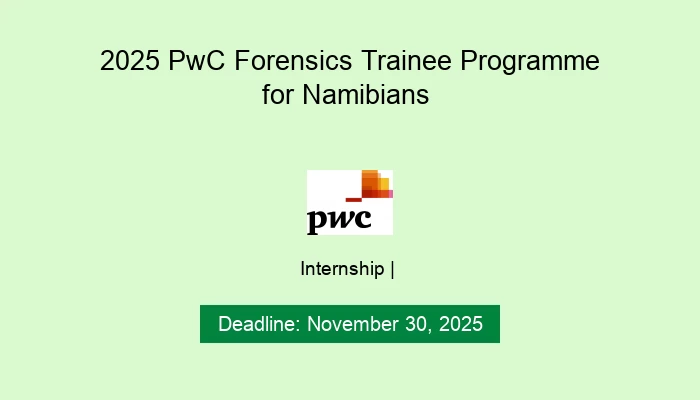 2025 PwC Forensics Trainee Programme for Namibians
