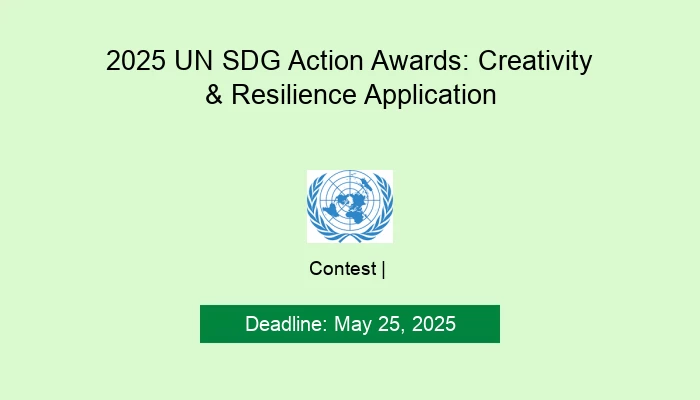 2025 UN SDG Action Awards: Creativity & Resilience Application