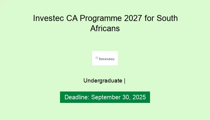 Investec CA Programme 2027 for South Africans