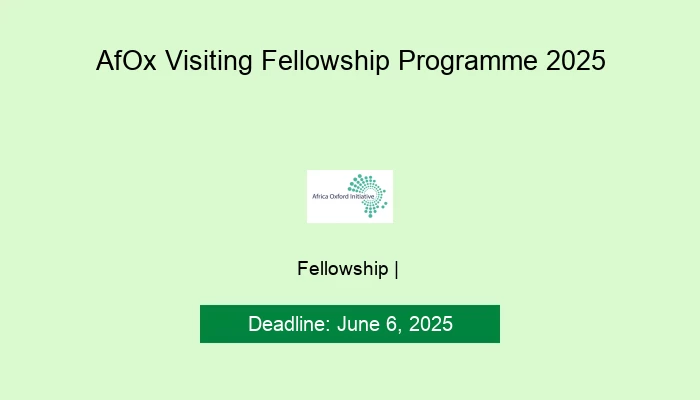 AfOx Visiting Fellowship Programme 2025