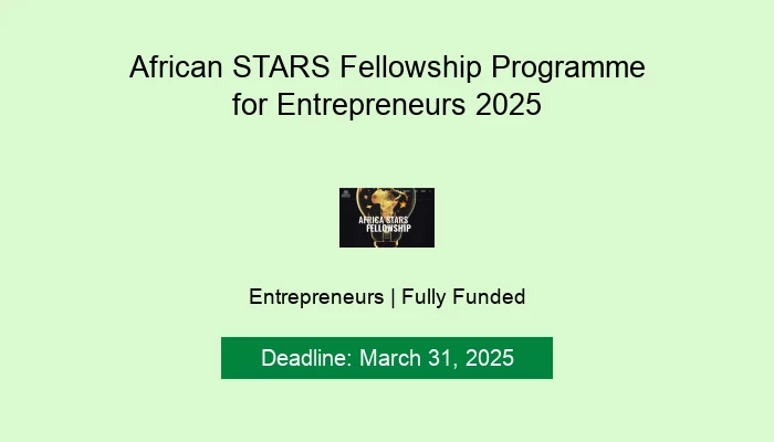 African STARS Fellowship Programme for Entrepreneurs 2025