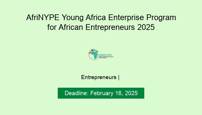 AfriNYPE Young Africa Enterprise Program for African Entrepreneurs 2025