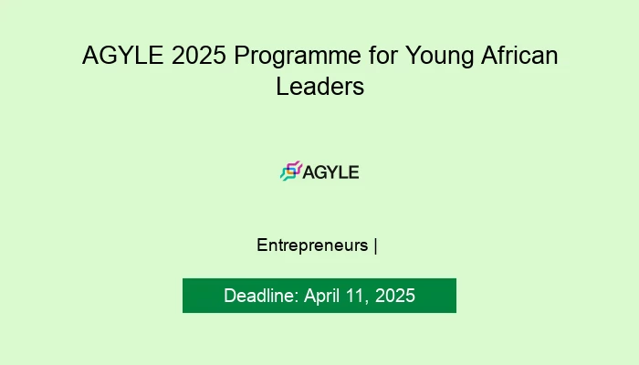 AGYLE 2025 Programme for Young African Leaders