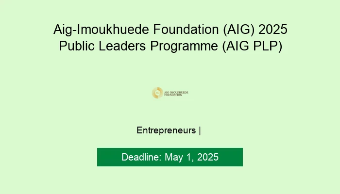 Aig-Imoukhuede Foundation (AIG) 2025 Public Leaders Programme (AIG PLP)