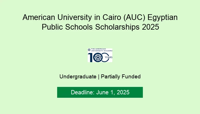 American University in Cairo (AUC) Egyptian Public Schools Scholarships 2025