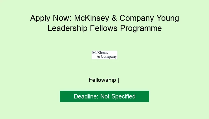 Apply Now: McKinsey & Company Young Leadership Fellows Programme