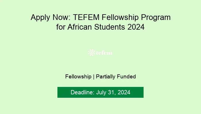 Apply Now: TEFEM Fellowship Program for African Students 2024