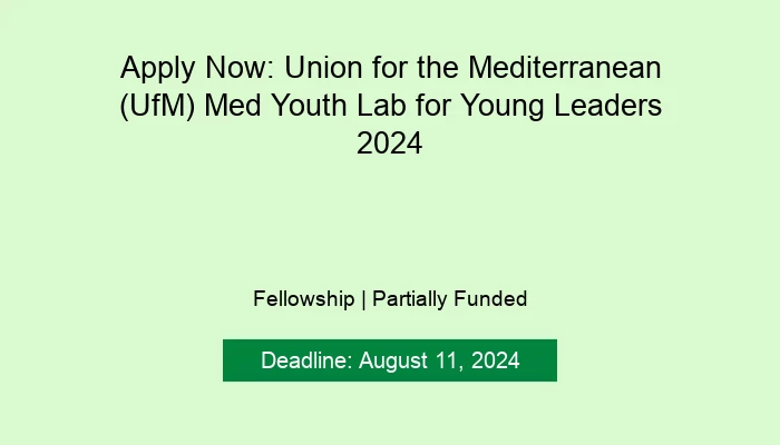 Apply Now: Union for the Mediterranean (UfM) Med Youth Lab for Young Leaders 2024