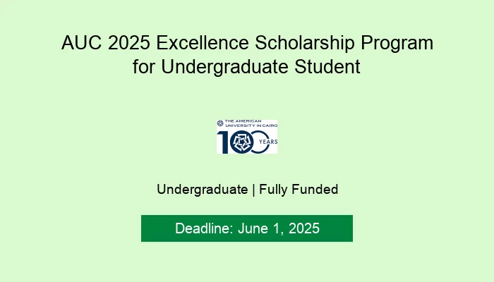 AUC 2025 Excellence Scholarship Program for Undergraduate Student