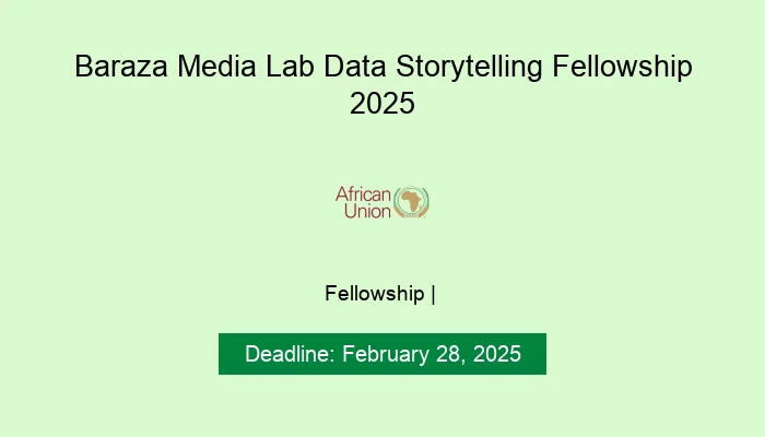 Baraza Media Lab Data Storytelling Fellowship 2025