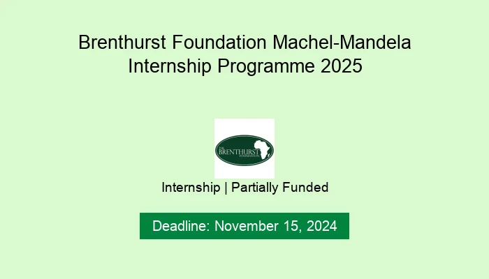 Brenthurst Foundation Machel-Mandela Internship Programme 2025