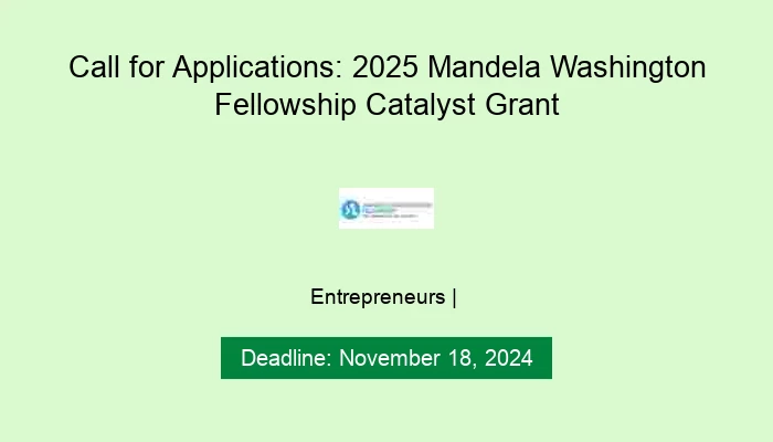 Call for Applications: 2025 Mandela Washington Fellowship Catalyst Grant