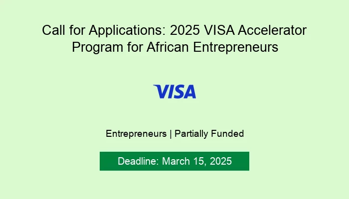 Call for Applications: 2025 VISA Accelerator Program for African Entrepreneurs