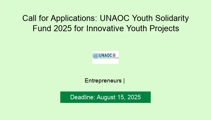 Call for Applications: UNAOC Youth Solidarity Fund 2025 for Innovative Youth Projects
