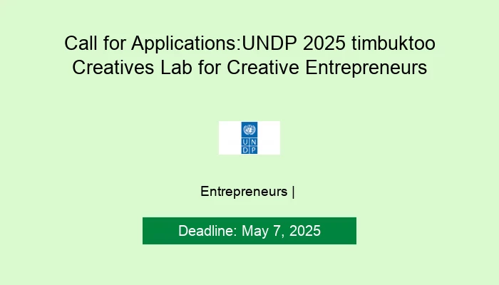 Call for Applications: UNDP 2025 timbuktoo Creatives Lab for Creative Entrepreneurs
