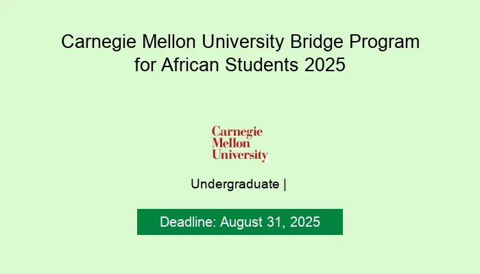 Carnegie Mellon University Bridge Program for African Students 2025