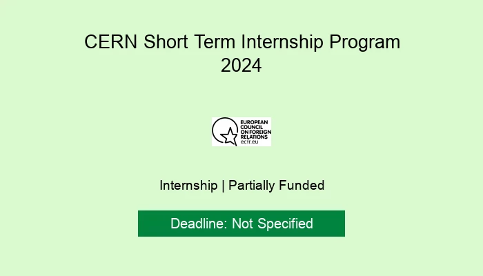 CERN Short Term Internship Program 2024