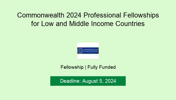 Commonwealth 2024 Professional Fellowships for Low and Middle Income Countries