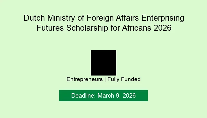 Dutch Ministry of Foreign Affairs Enterprising Futures Scholarship for Africans 2026