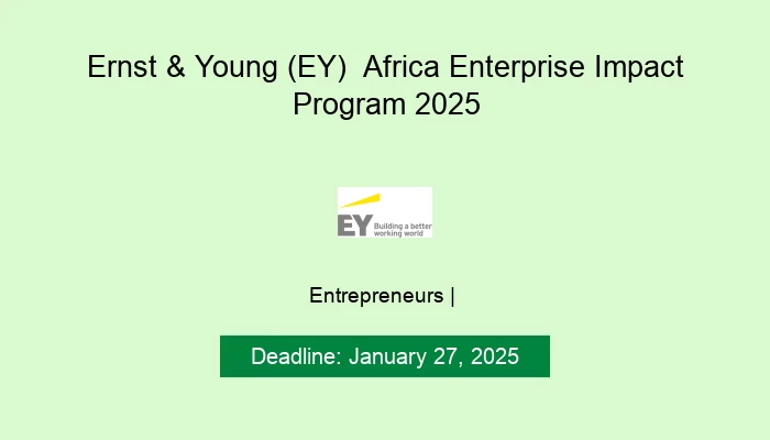 Ernst & Young (EY)  Africa Enterprise Impact Program 2025