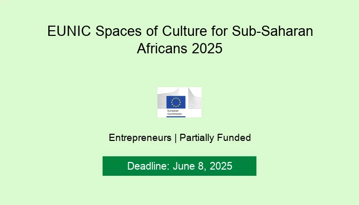EUNIC Spaces of Culture for Sub-Saharan Africans 2025