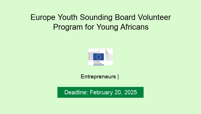 Europe Youth Sounding Board Volunteer Program for Young Africans