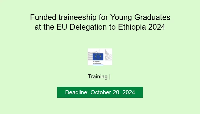 Funded traineeship for Young Graduates at the EU Delegation to Ethiopia 2024