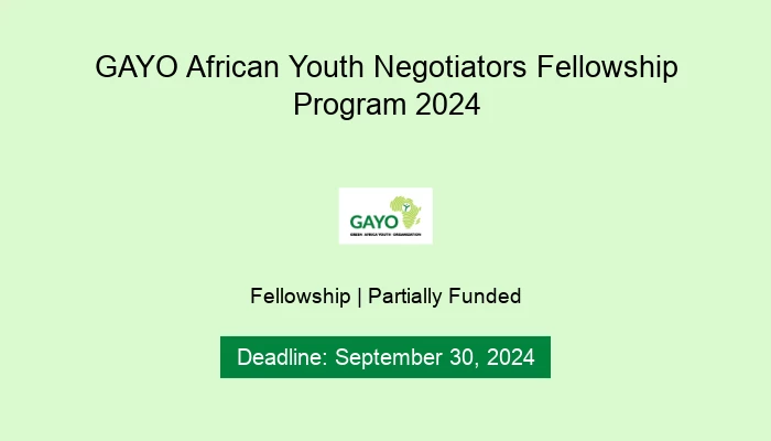 GAYO African Youth Negotiators Fellowship Program 2024