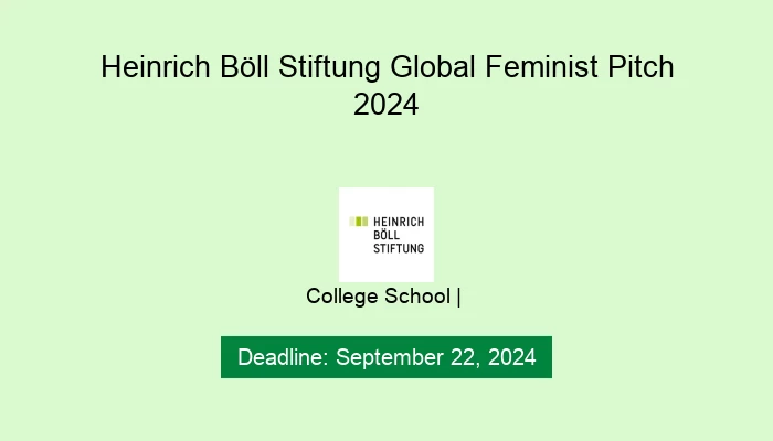 Heinrich Böll Stiftung Global Feminist Pitch 2024