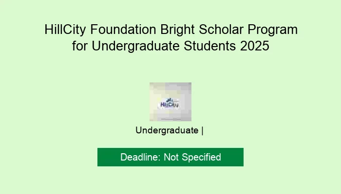 HillCity Foundation Bright Scholar Program for Undergraduate Students 2025