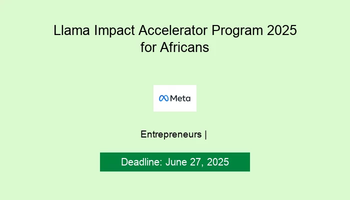 Llama Impact Accelerator Program 2025 for Africans