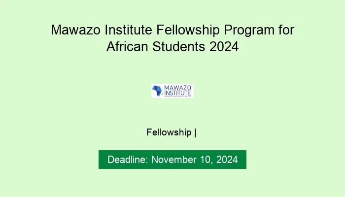 Mawazo Institute Fellowship Program for African Students 2024