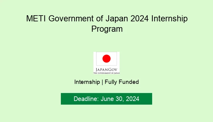 METI Government of Japan 2024 Internship Program